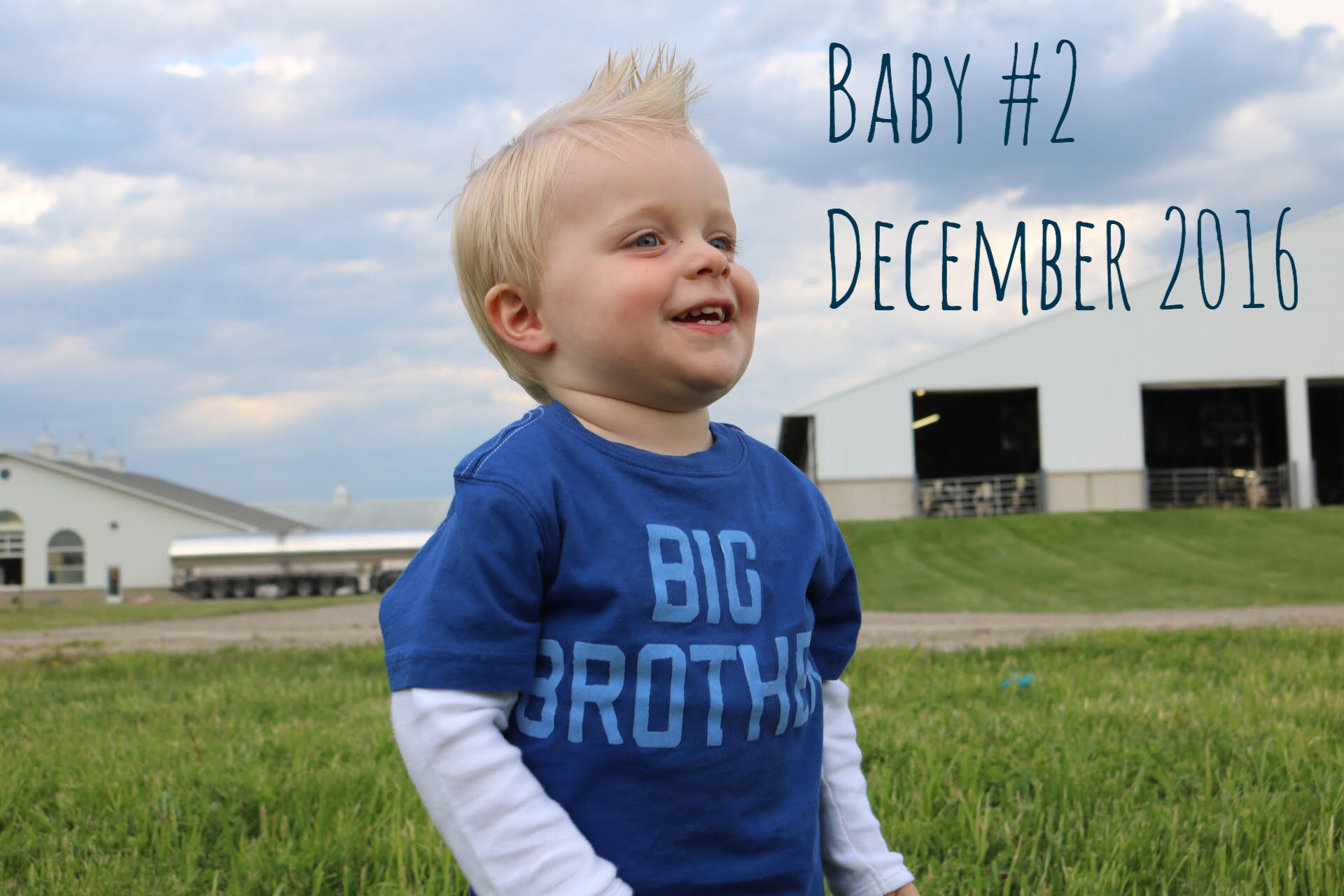 CC6C6ECD-88D3-4093-9ACF-D6A1F59B73D4