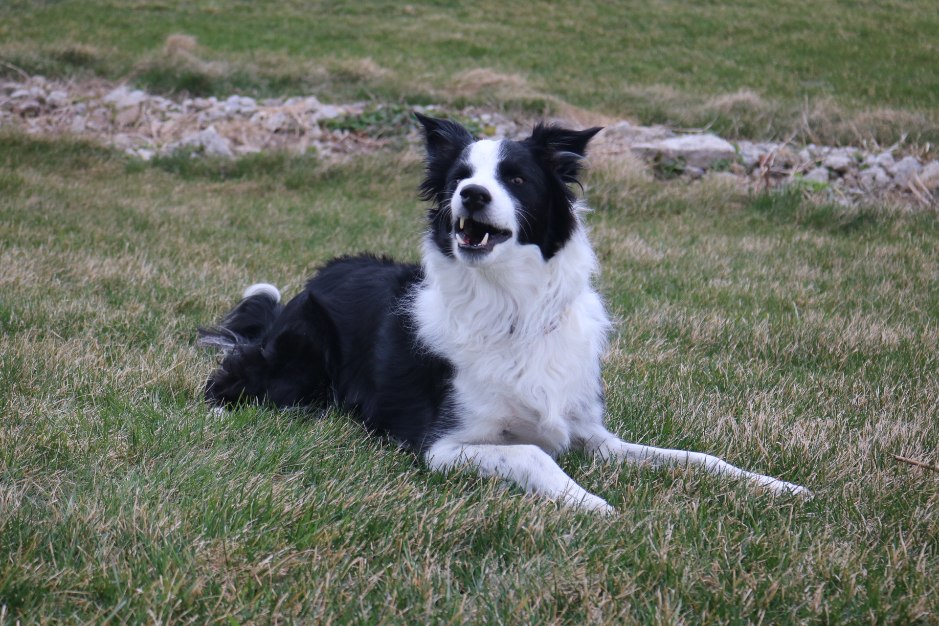 EB377481-538F-49BD-A1C8-641409057CE6