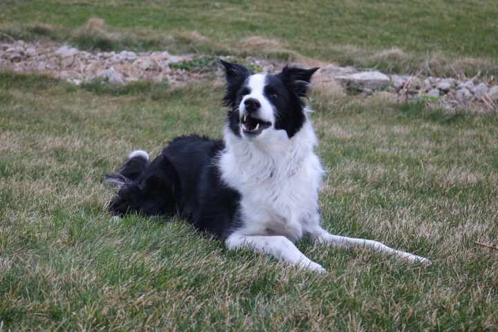 EB377481-538F-49BD-A1C8-641409057CE6