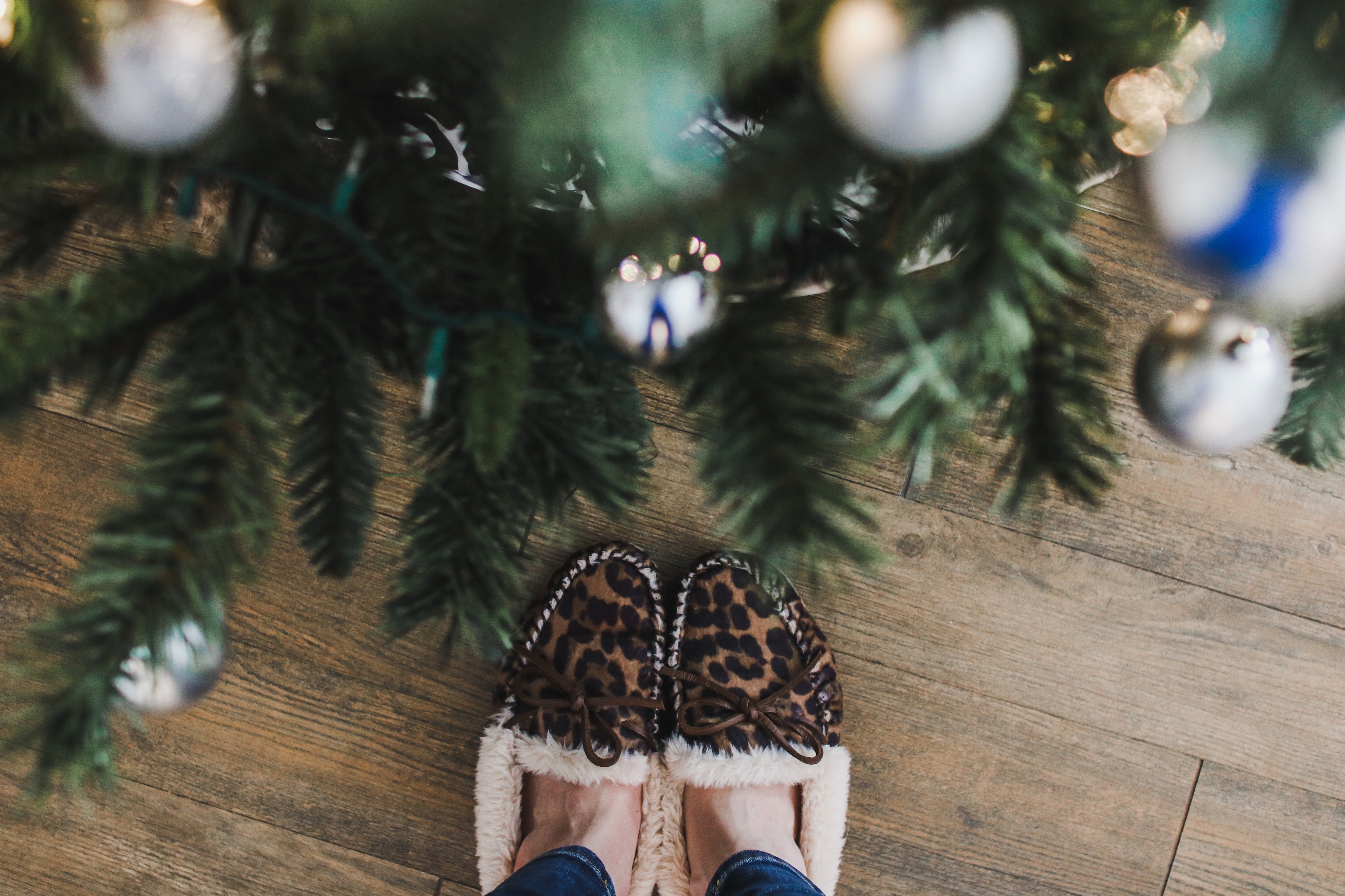 acdacc1b-6428-4e84-9724-78ba22f2f7ff