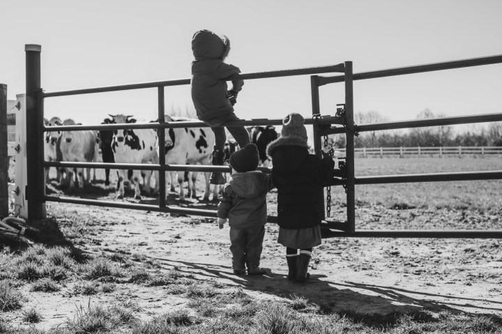 Shards of Light: A Family in&nbsp;Quarantine