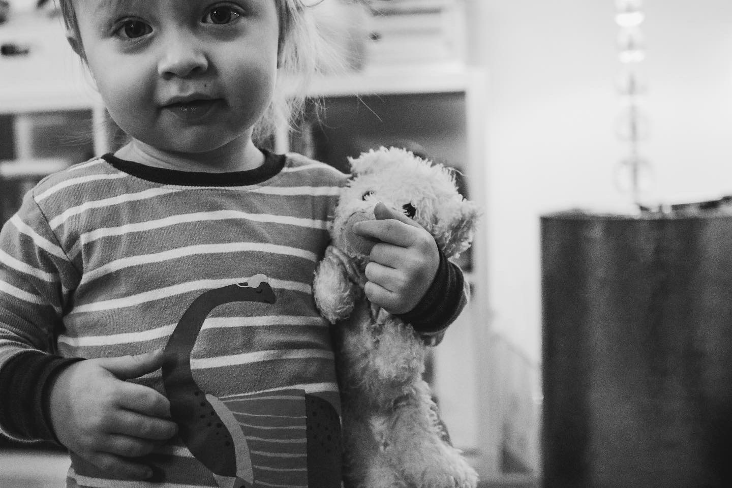 22921854-a34f-43a7-9e8b-7a068526d0f7-1